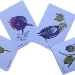 Postkarten Gemüsevögel